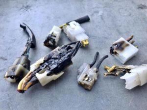 melted_connectors